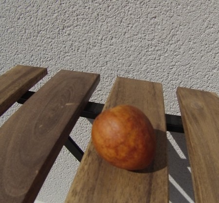/products/semilla-de-aguacate/